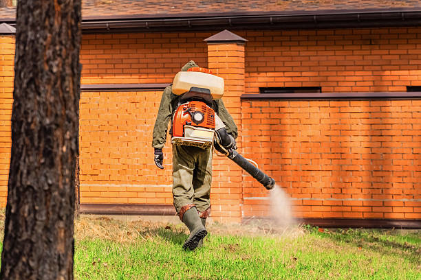 Trusted Cockroach Control service in Kingsbury, NV - Nex Pest Control
